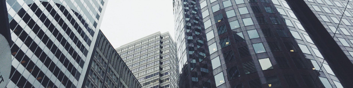 如何查詢新加坡公司股東信息？